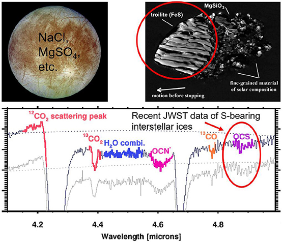 Chemistries of Europan cometary interstellar environments