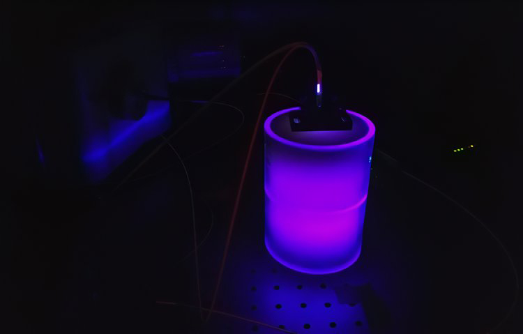 Functional prototype of ICARUS spectrograph