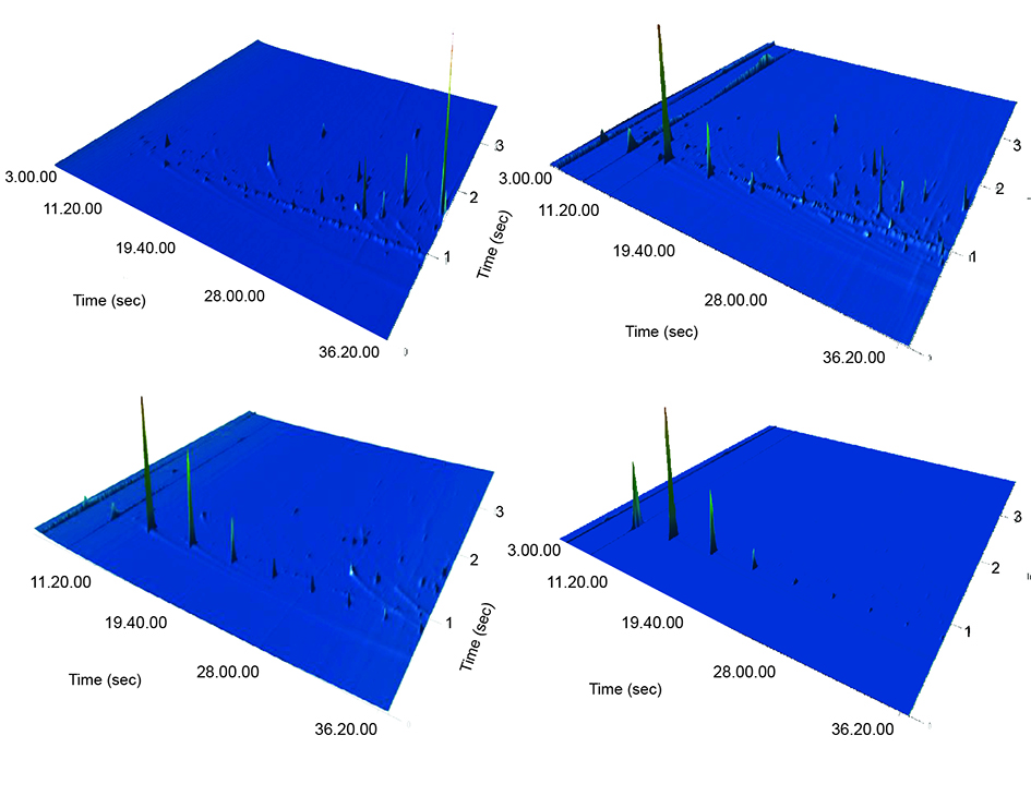 Two-dimensional GCxGC plot