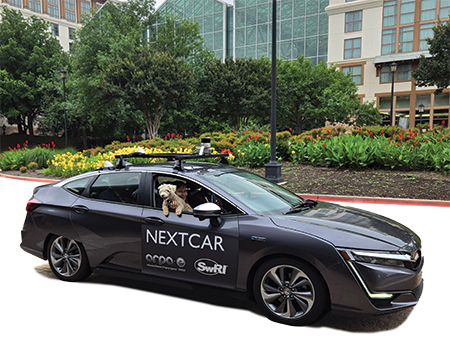 black nextcar sedan with dog hanging out passenger window in front of buildings