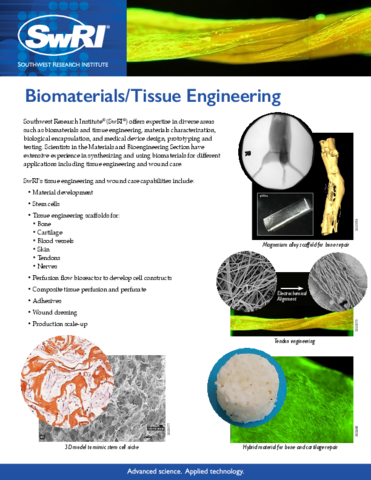 tissue engineering scaffold biomaterial