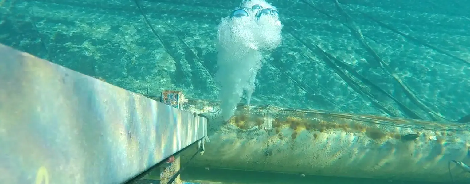 in pool view of a leaking pipe with bubbles showing where the leak is