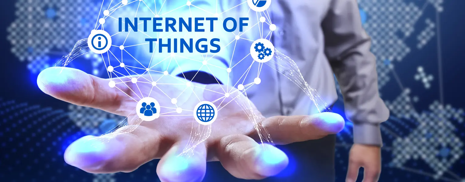 Intelligent Networks & Internet of Things