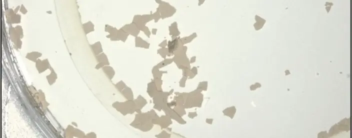 Optical stereoscope image of debris collected after filtering.