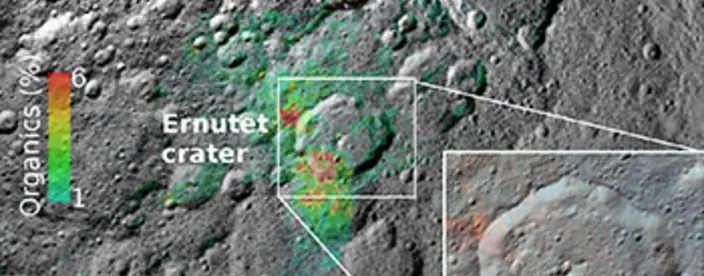 Organic Concentrations on Ceres