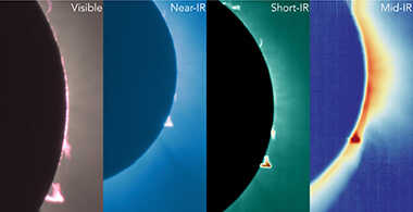 These preliminary images show the corona and prominences visible during the April 8, 2024, eclipse in four wavelength ranges.