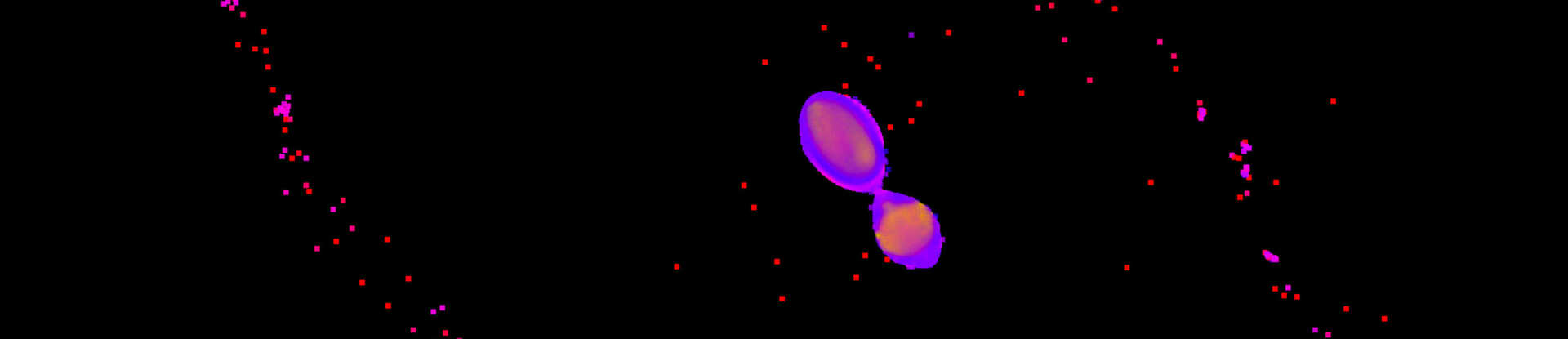 Go to SwRI press release: SwRI models Pluto-Charon formation scenario that mimics Earth-Moon system