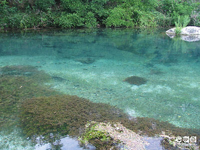 Aquifer pool with clear water