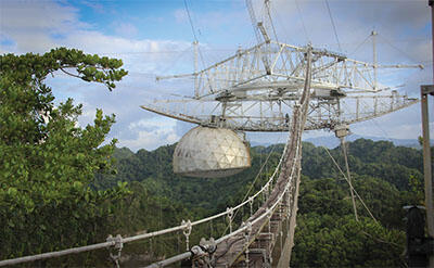 Observatory built above a tropical forest