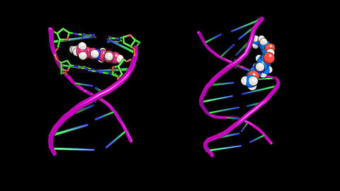 Computer image of DNA from Southwest Research Institute’s Rhodium™ software 