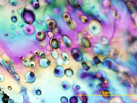 Colorful cross-polarized light microscope image