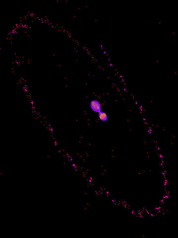 “Kiss-and-capture” model of Pluto and Charon colliding and sticking together in the shape of a snowman