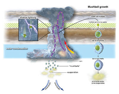 diagram showing mushball layers