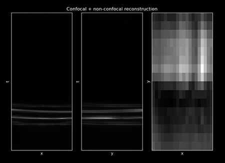 light cone transformation