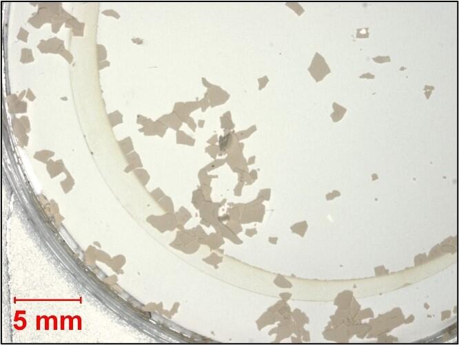 Optical stereoscope image of debris collected after filtering.